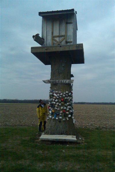 IMAG0242